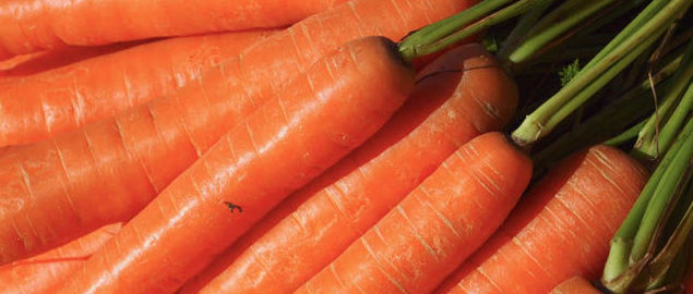Diez usos creativos de las zanahorias