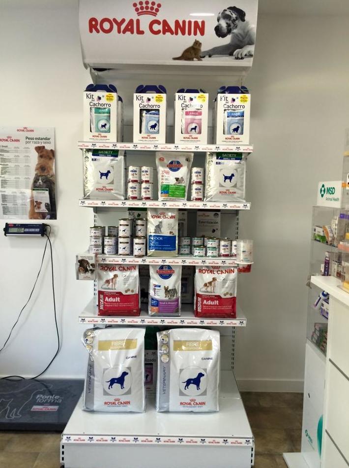 Alimentación: Servicios de Mastervet Mirasierra Alimentación: Servicios de Mastervet Mirasierra