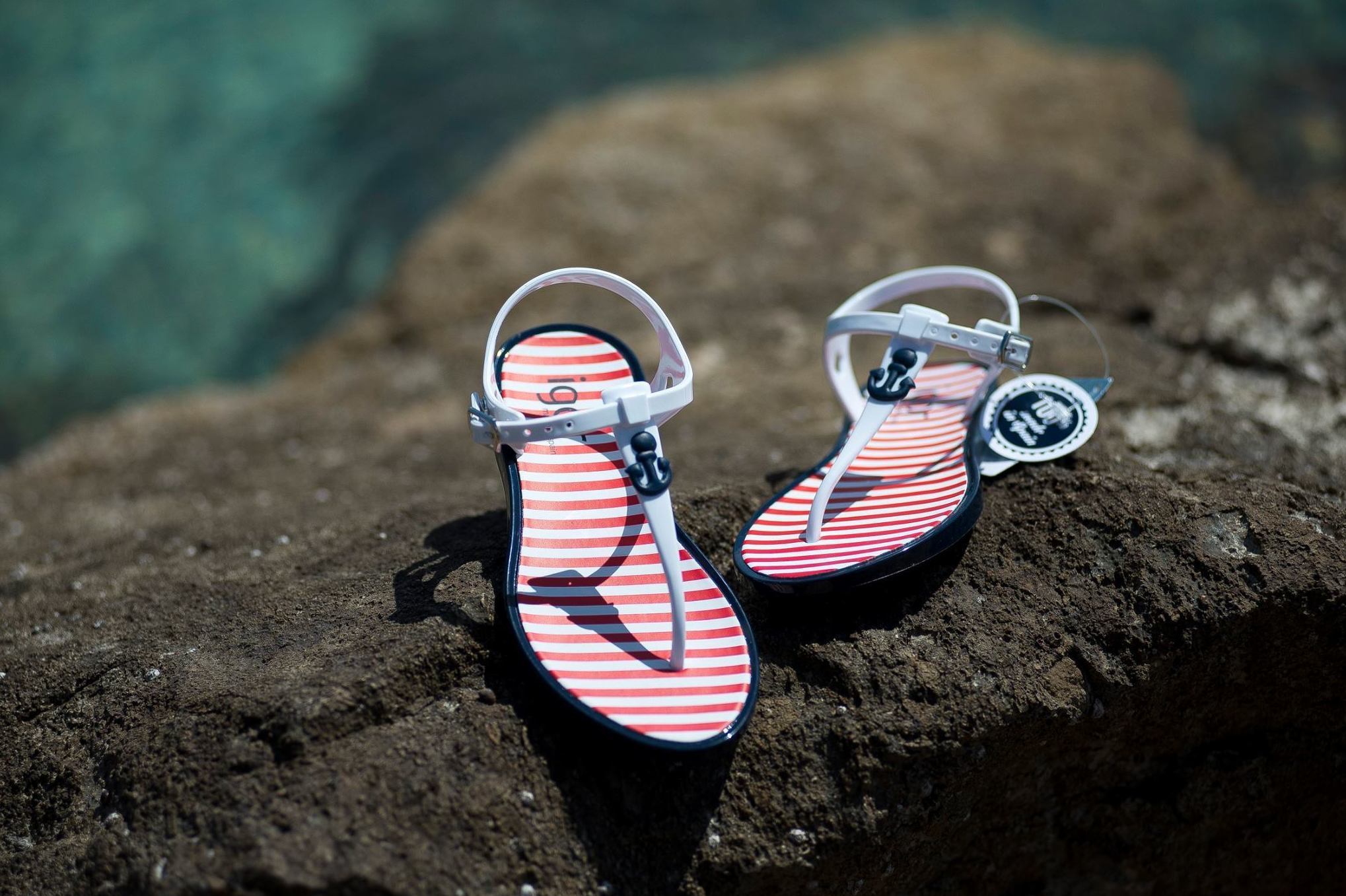 Sandalias y chanclas: Calzado infantil de Petit Cocó Sandalias y chanclas: Calzado infantil de Petit Cocó