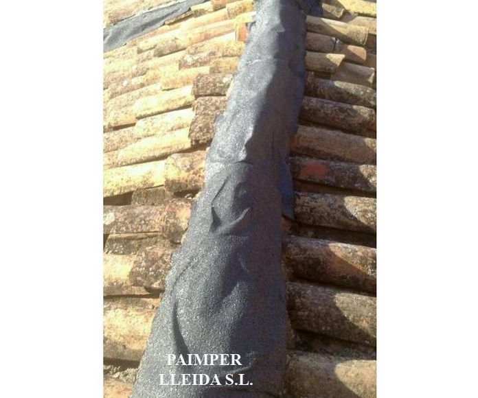 Reparación y/o aislamiento térmico de tejados: Catálogo de productos de Paimper Lleida, S.L. Reparación y/o aislamiento térmico de tejados: Catálogo de productos de Paimper Lleida, S.L.