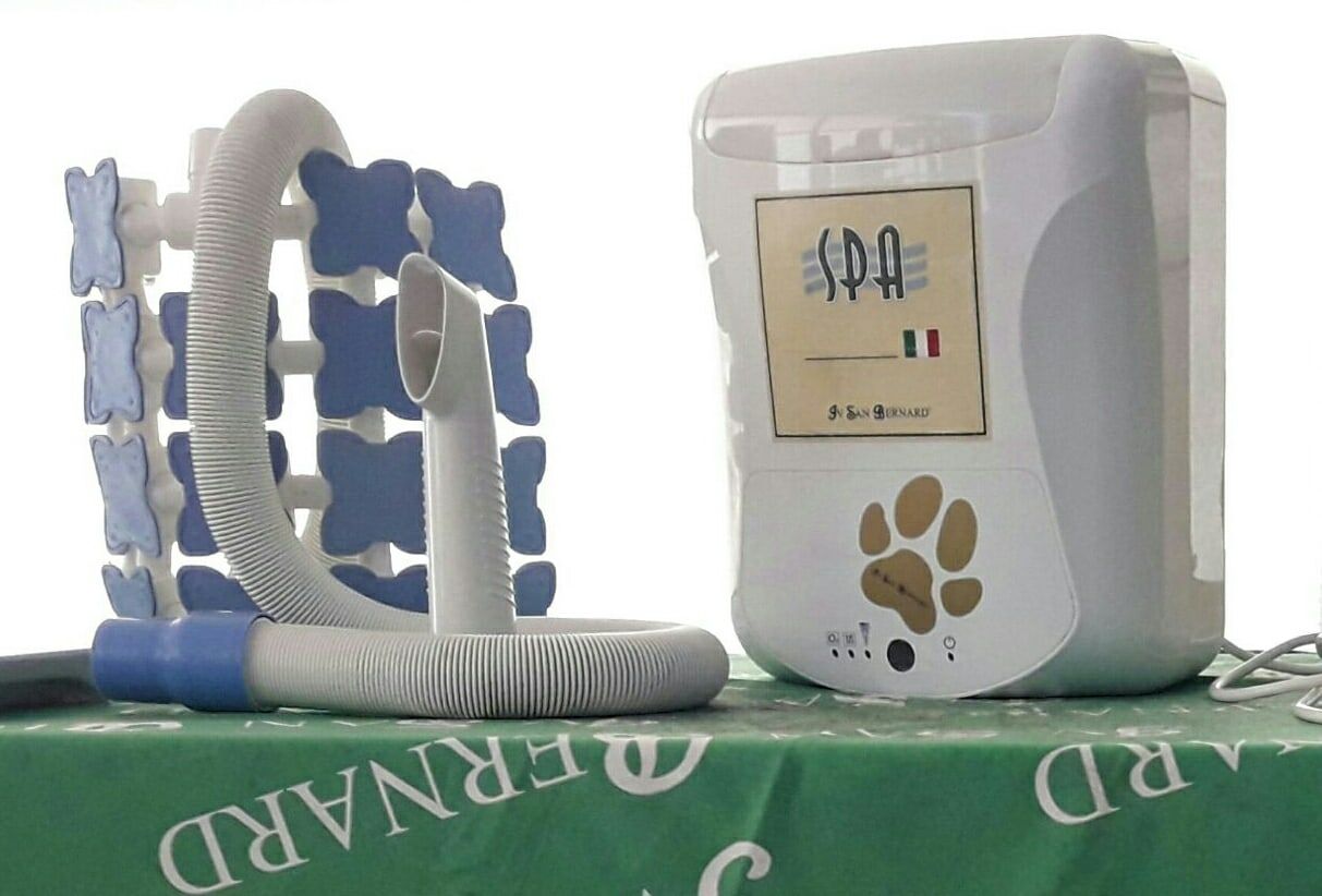 Spa con Ozonoterapia: Productos y Servicios de AnimaLook Spa con Ozonoterapia: Productos y Servicios de AnimaLook