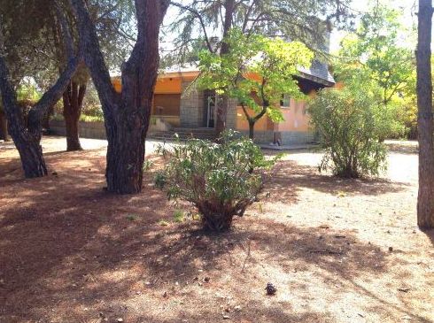 POZUELO DE ALARCÓN: Gestión Inmobiliaria de Adasenor, S.L. POZUELO DE ALARCÓN: Gestión Inmobiliaria de Adasenor, S.L.