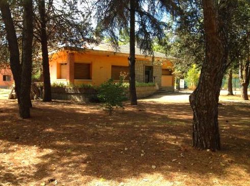 POZUELO DE ALARCÓN: Gestión Inmobiliaria de Adasenor, S.L. POZUELO DE ALARCÓN: Gestión Inmobiliaria de Adasenor, S.L.