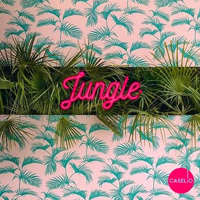 JUNGLE CASELIO: Qué hacemos de Cálido JUNGLE CASELIO: Qué hacemos de Cálido