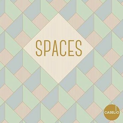 SPACES: Qué hacemos de Cálido SPACES: Qué hacemos de Cálido