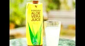 Pulpa de Áloe Vera 100%: Productos de Centro de Áloe Vera Pulpa de Áloe Vera 100%: Productos de Centro de Áloe Vera