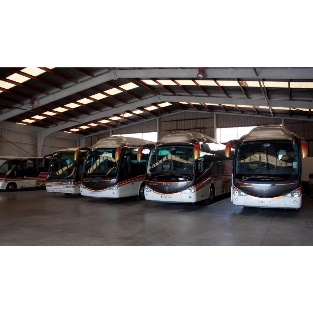Nuestros servicios: Nuestros servicios de Autocares Marques Nuestros servicios: Nuestros servicios de Autocares Marques