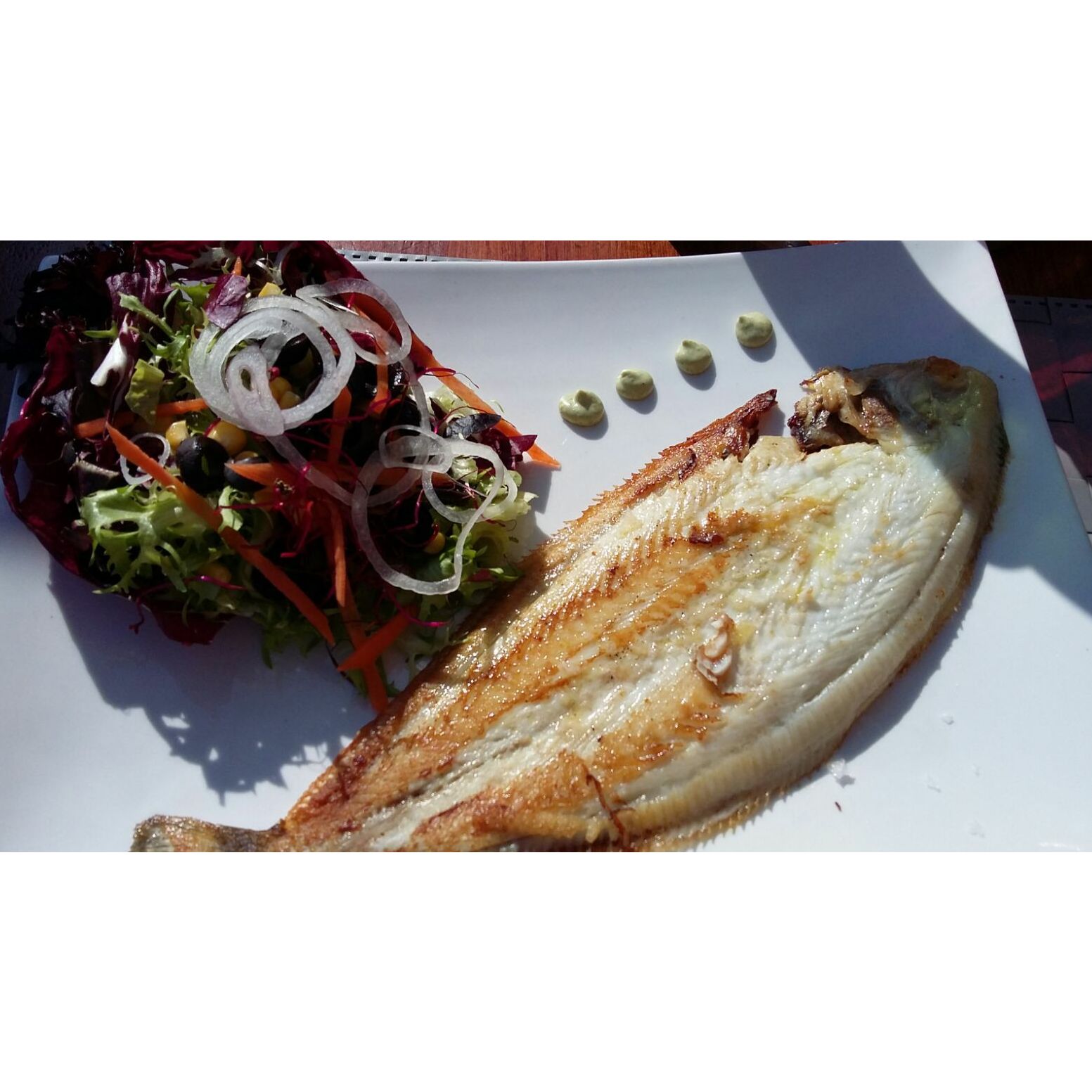 Pescados: Nuestra carta de CNC Restaurante Pescados: Nuestra carta de CNC Restaurante