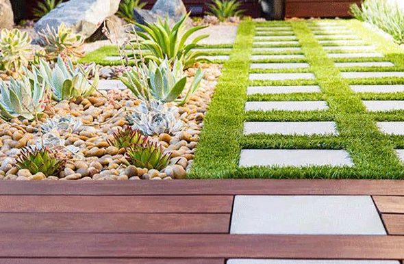 Cesped en jardin. Cesped en jardin.