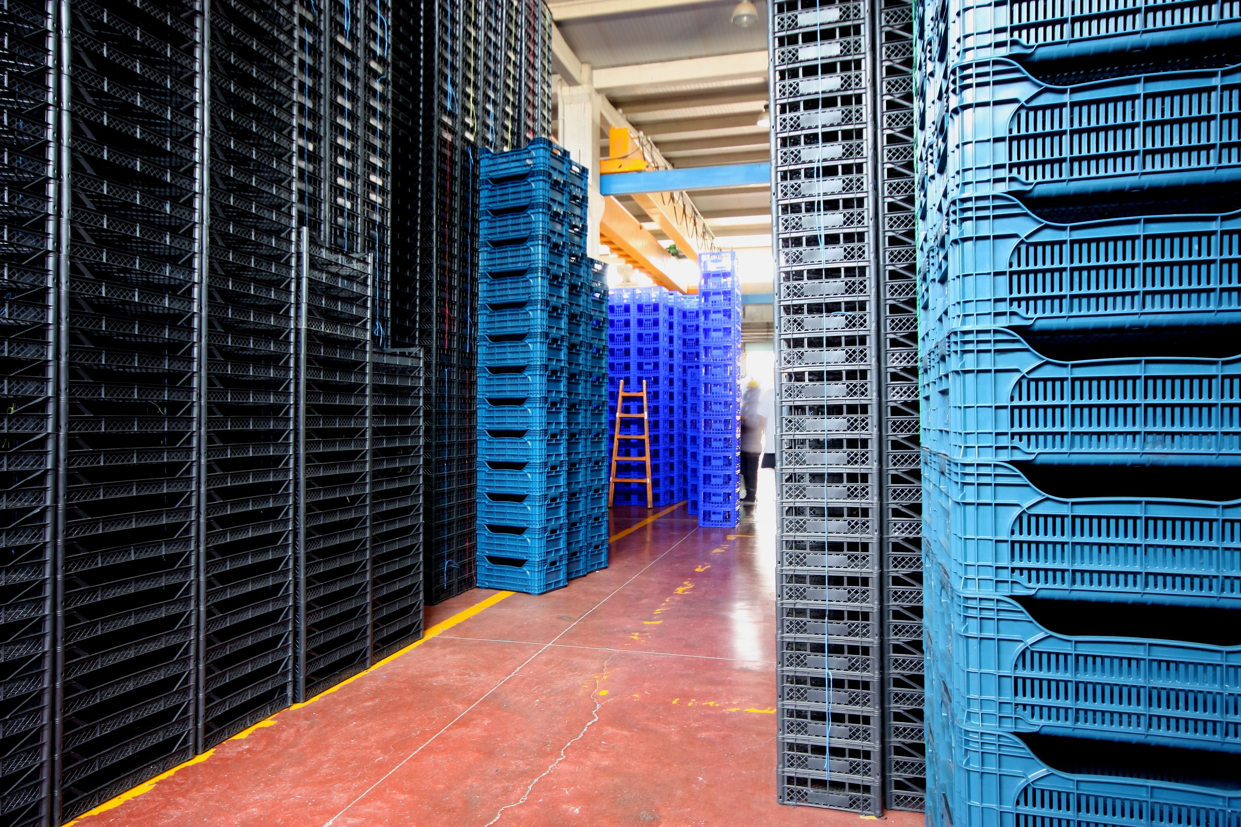 Sale of plastic pallets: Services de Reciclatges Mas Sale of plastic pallets: Services de Reciclatges Mas