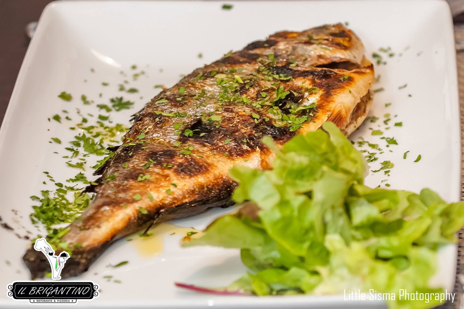 Pescados y mariscos: Restaurante Pizzería de IL Brigantino Ristorante Pescados y mariscos: Restaurante Pizzería de IL Brigantino Ristorante