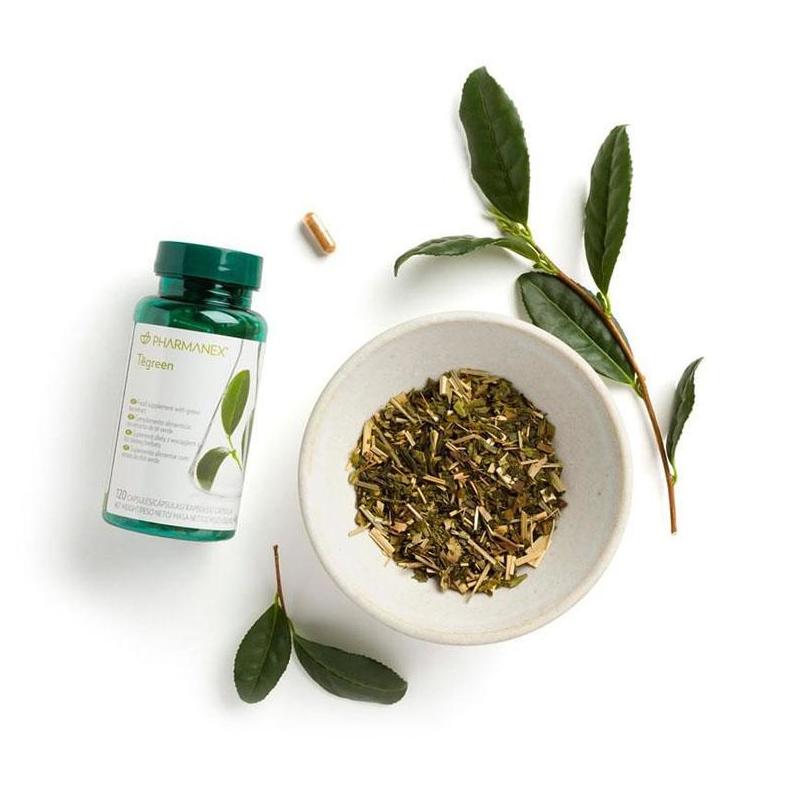 NUSKIN Pharmanex® Tegreen (30 cápsulas: PRODUCTOS de Javier Peluqueros Tapia De Casariego NUSKIN Pharmanex® Tegreen (30 cápsulas: PRODUCTOS de Javier Peluqueros Tapia De Casariego