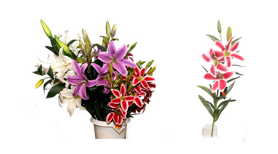 Flores secas y artificiales: Productos de FLORISTERÍA CASA BASUSTA Flores secas y artificiales: Productos de FLORISTERÍA CASA BASUSTA