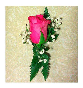 Solapas para novios: Productos de FLORISTERÍA CASA BASUSTA Solapas para novios: Productos de FLORISTERÍA CASA BASUSTA