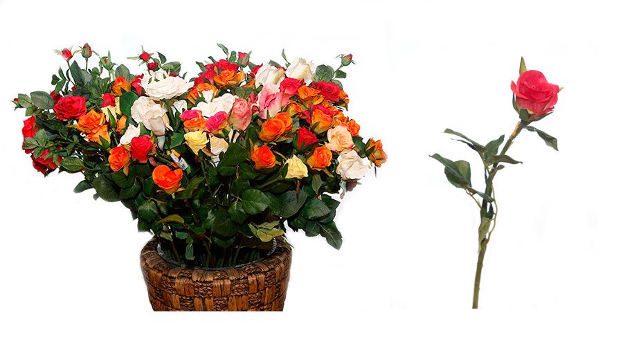 Flores secas y artificiales: Productos de FLORISTERÍA CASA BASUSTA Flores secas y artificiales: Productos de FLORISTERÍA CASA BASUSTA