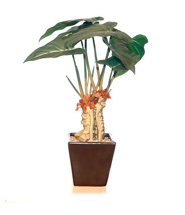 Plantas artificiales: Productos de FLORISTERÍA CASA BASUSTA Plantas artificiales: Productos de FLORISTERÍA CASA BASUSTA