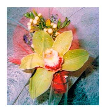 Solapas para novios: Productos de FLORISTERÍA CASA BASUSTA Solapas para novios: Productos de FLORISTERÍA CASA BASUSTA