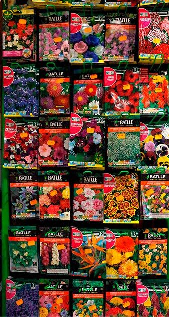 Semillas y bulbos: Productos de FLORISTERÍA CASA BASUSTA Semillas y bulbos: Productos de FLORISTERÍA CASA BASUSTA