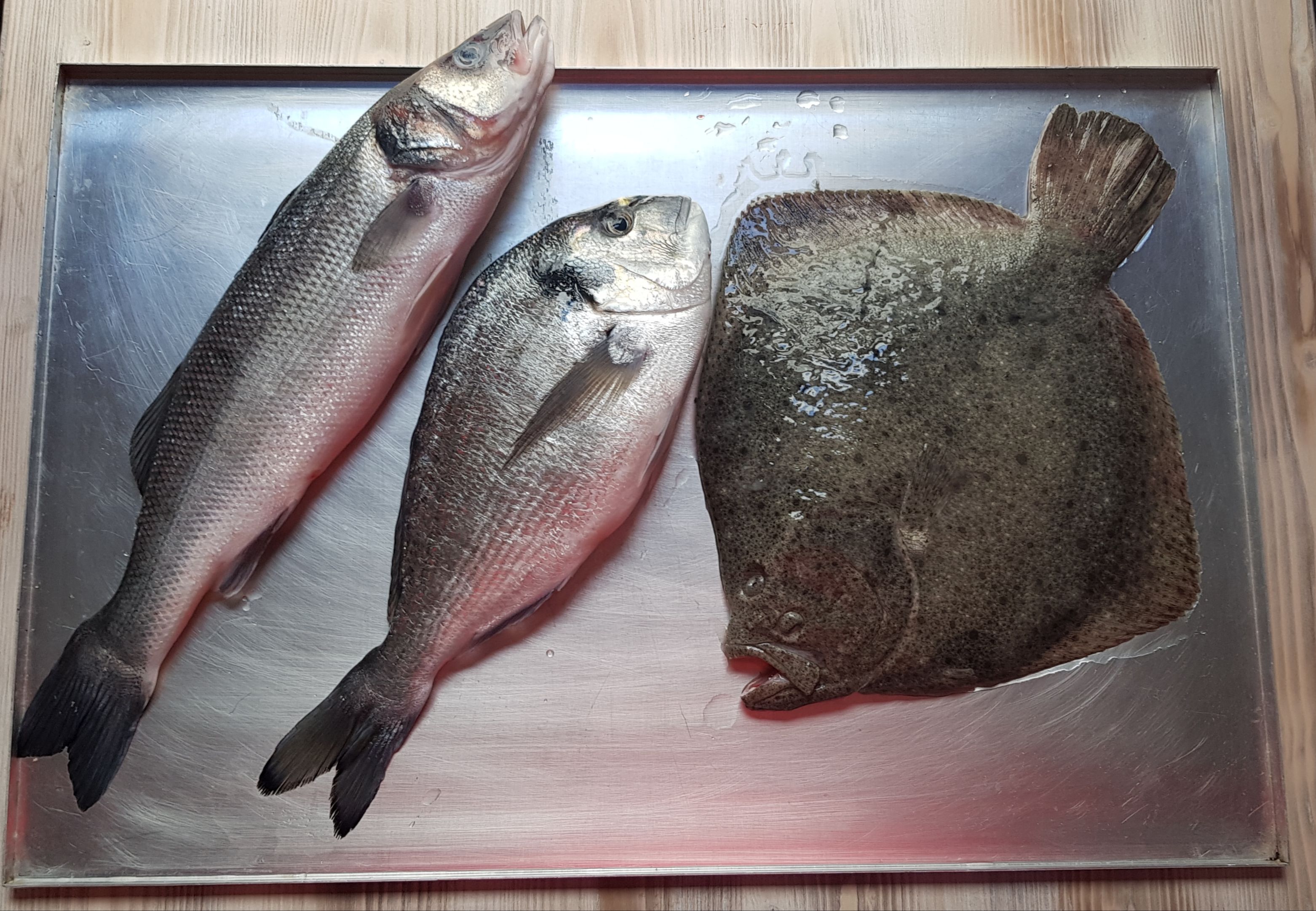 Productos: Ses Paelles de Cadaqués de Ses Paelles de Cadaqués Productos: Ses Paelles de Cadaqués de Ses Paelles de Cadaqués