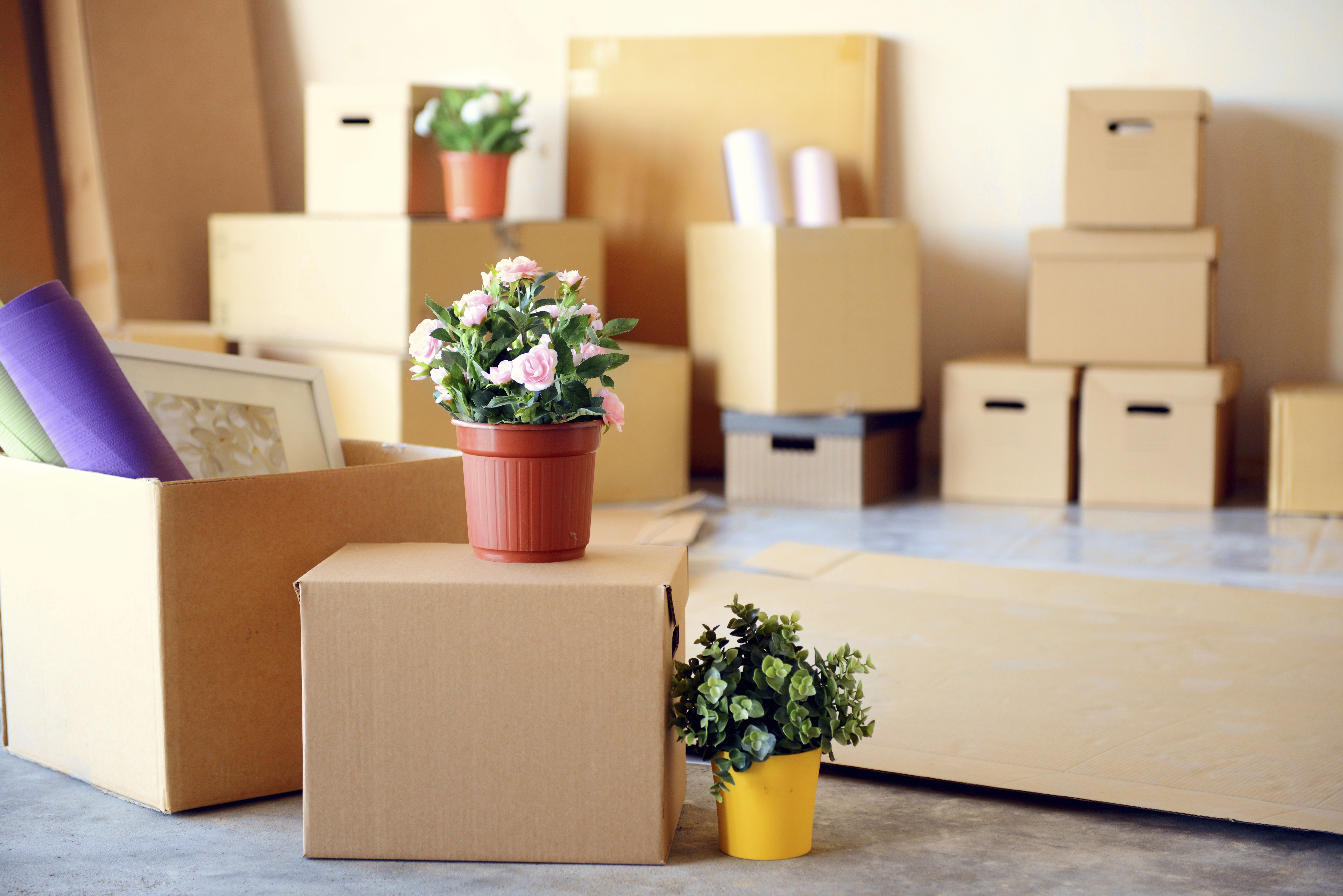 Mudanzas: Servicios de Pisomoving Mudanzas: Servicios de Pisomoving