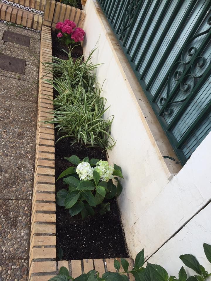 Diseño y mantenimiento de jardines y zonas verdes: Servicios de Ayaflora Mantenimientos y Jardines Diseño y mantenimiento de jardines y zonas verdes: Servicios de Ayaflora Mantenimientos y Jardines