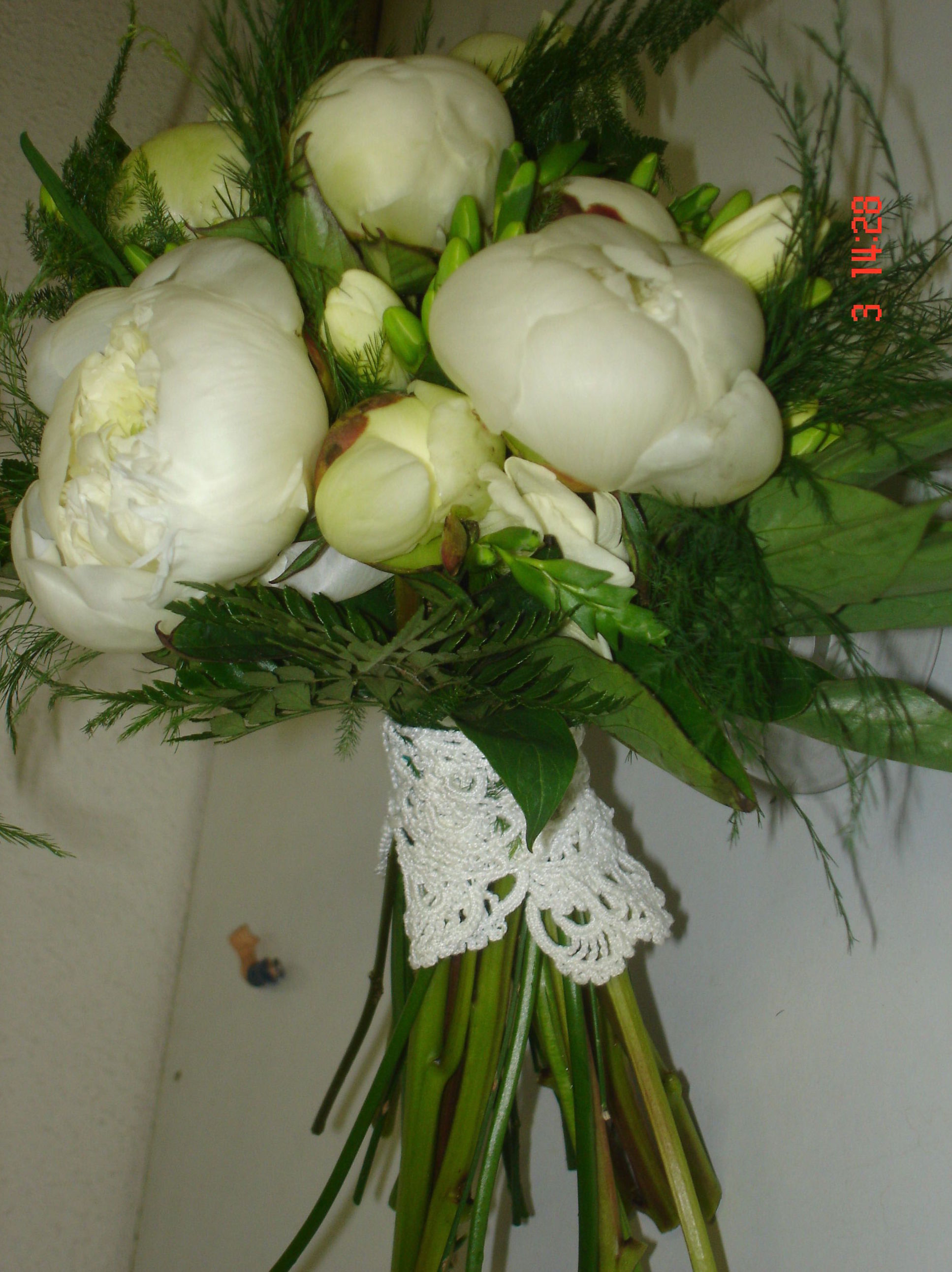 Peonias blancas: Catálogo de El Jardín de Churruca Peonias blancas: Catálogo de El Jardín de Churruca