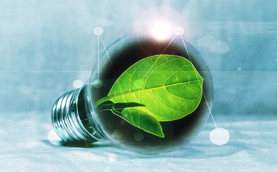 Estudio energético de ahorro: Servicios de Ofeinco Ingenieros Consultores Estudio energético de ahorro: Servicios de Ofeinco Ingenieros Consultores