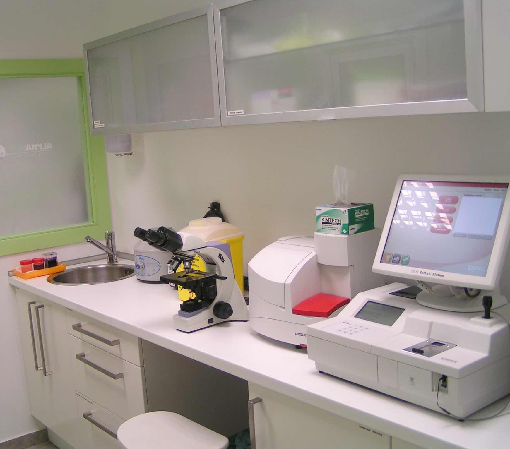 Análisis clínicos veterinarios: Servicios Veterinarios de Clínica Veterinaria AlphaBcn Análisis clínicos veterinarios: Servicios Veterinarios de Clínica Veterinaria AlphaBcn
