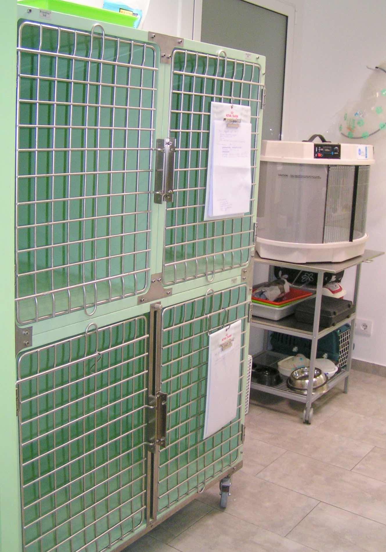 Hospitalización: Servicios Veterinarios de Clínica Veterinaria AlphaBcn Hospitalización: Servicios Veterinarios de Clínica Veterinaria AlphaBcn