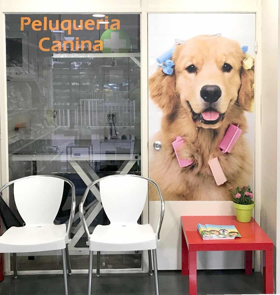 Peluquerías canina y felina: Servicios Veterinarios de Clínica Veterinaria AlphaBcn Peluquerías canina y felina: Servicios Veterinarios de Clínica Veterinaria AlphaBcn