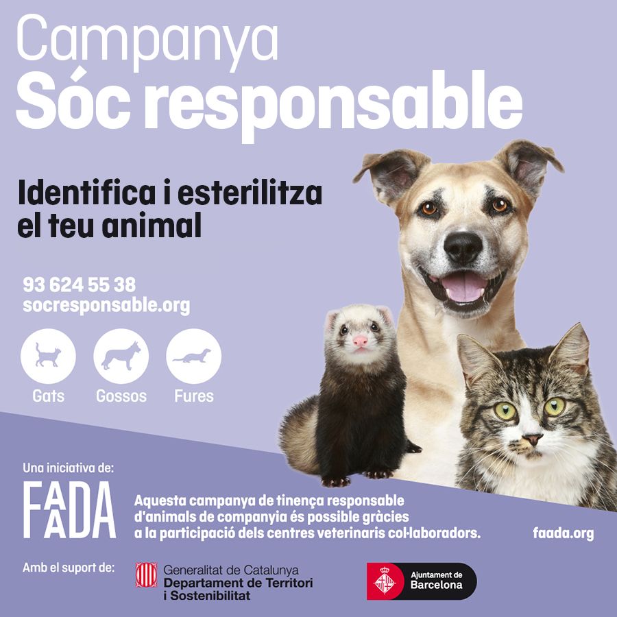 Campaña de esterilización y Chipaje: Servicios Veterinarios de Clínica Veterinaria AlphaBcn Campaña de esterilización y Chipaje: Servicios Veterinarios de Clínica Veterinaria AlphaBcn