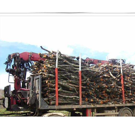 Servicios forestales: Productos y servicios de Forestal Arauzo