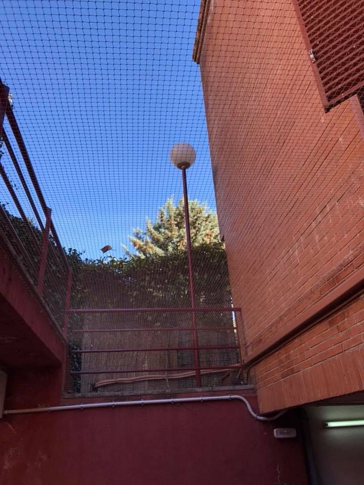 Instalación de redes y pinchos para anti-aves: Servicios de ACS Reformas y Multiservicios Instalación de redes y pinchos para anti-aves: Servicios de ACS Reformas y Multiservicios