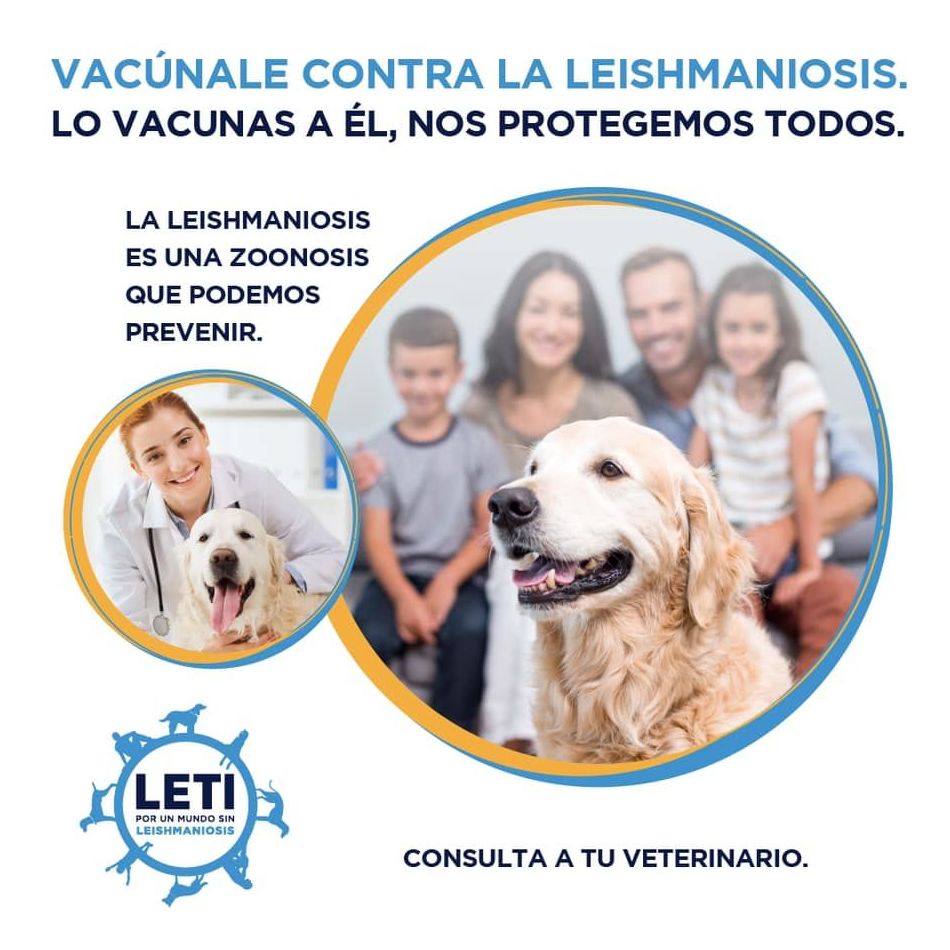 Foto 1 de Veterinarios en  | Clínica Veterinaria Cachorros