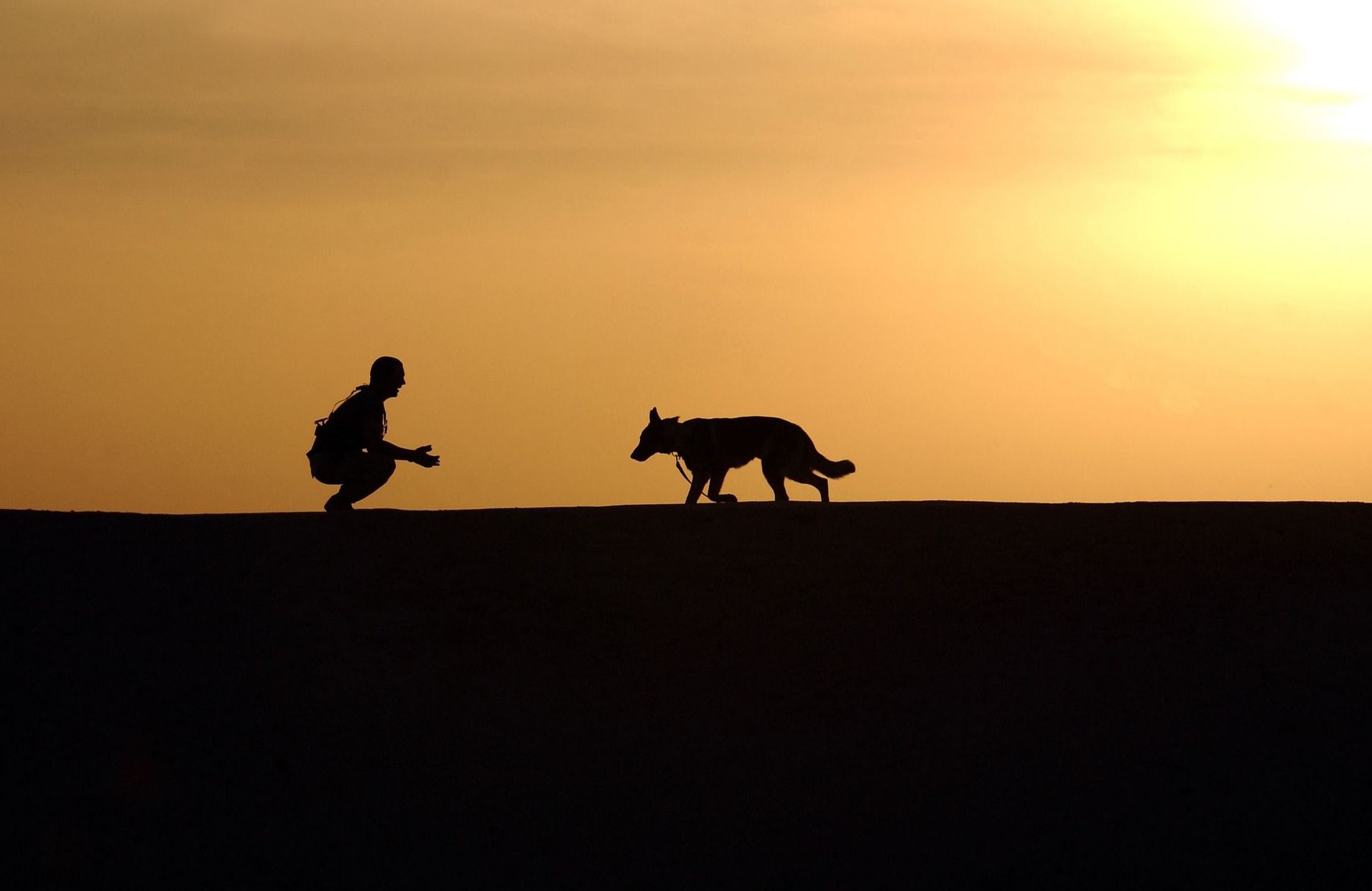 Vigilancia permanente: ¿Qué hacemos? de Guardería Canina Estíbaliz Vigilancia permanente: ¿Qué hacemos? de Guardería Canina Estíbaliz