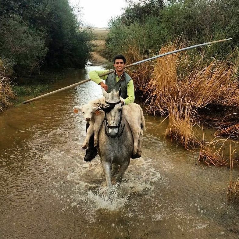 Rutas a caballo en Don Benito, Badajoz