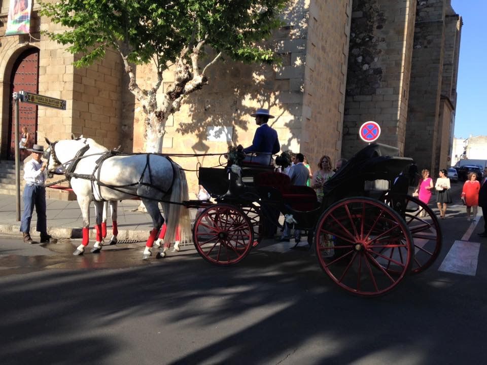 Coches De Caballos Para Bodas Servicios De Picadero Escuela Las Cruces