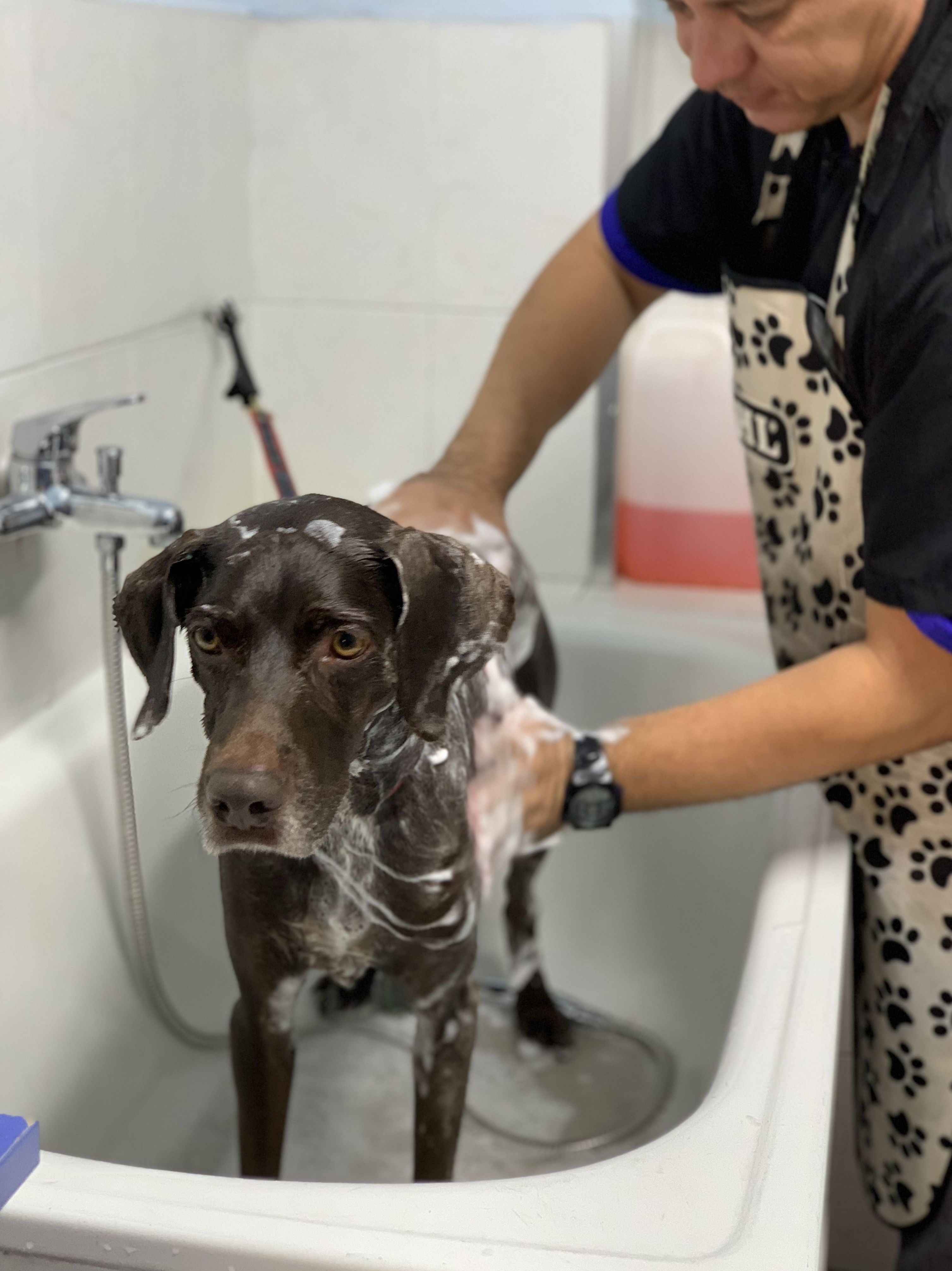 Baño de Braco