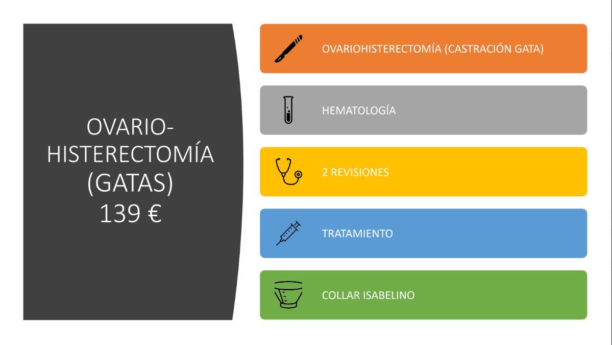 Ovariohisterectomía (gatas): de Punto Pet Clínica Veterinaria Ovariohisterectomía (gatas): de Punto Pet Clínica Veterinaria