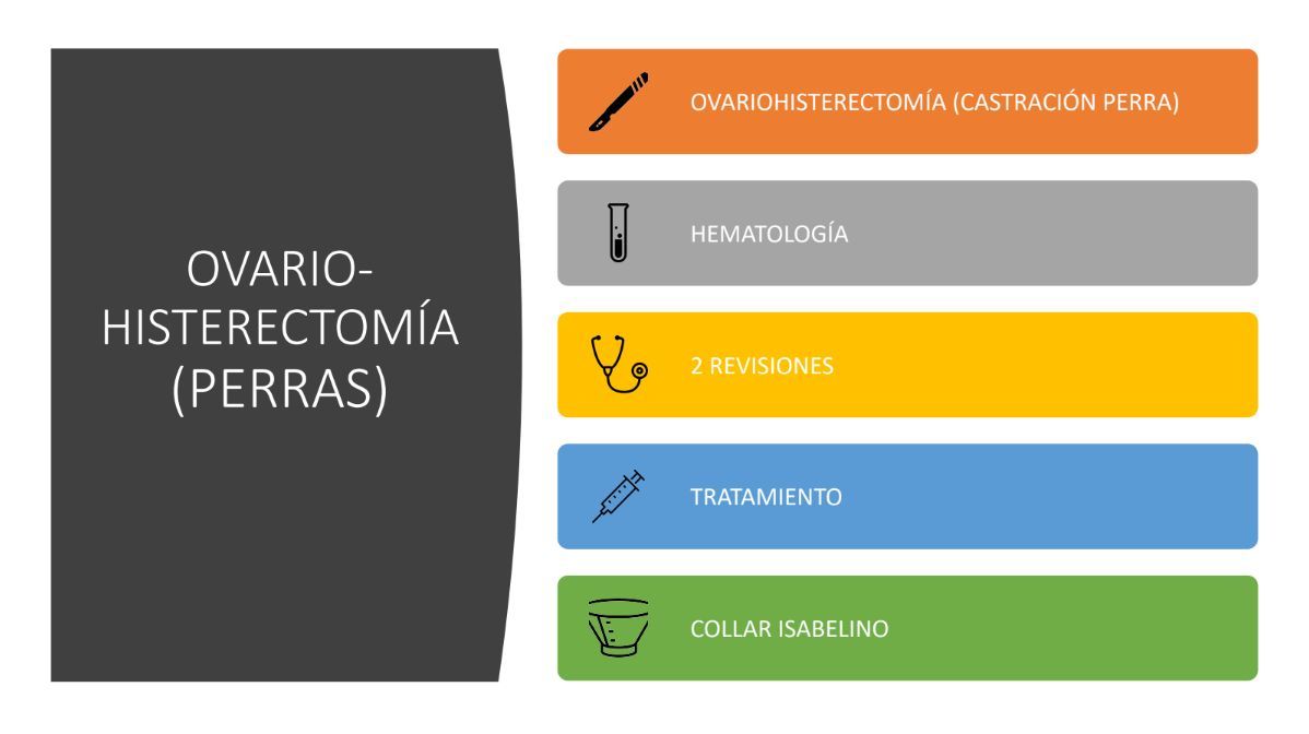 Ovariohisterectomía (perras): de Punto Pet Clínica Veterinaria Ovariohisterectomía (perras): de Punto Pet Clínica Veterinaria