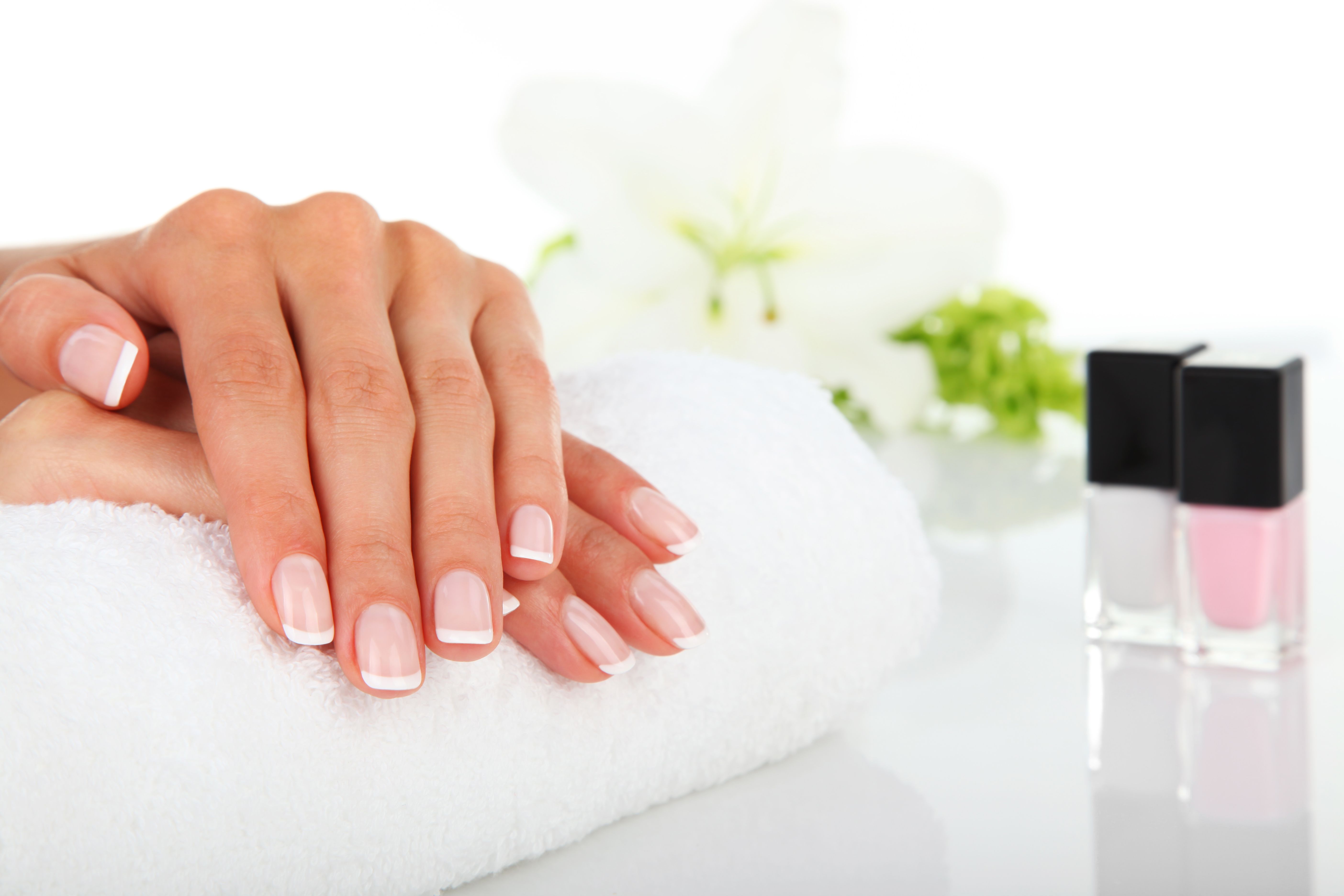 Manicura y pedicura: Servicios de Artemis Peluqueros Manicura y pedicura: Servicios de Artemis Peluqueros