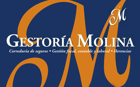 Asesoría de Empresas: Servicios de Gestoría Molina Asesoría de Empresas: Servicios de Gestoría Molina