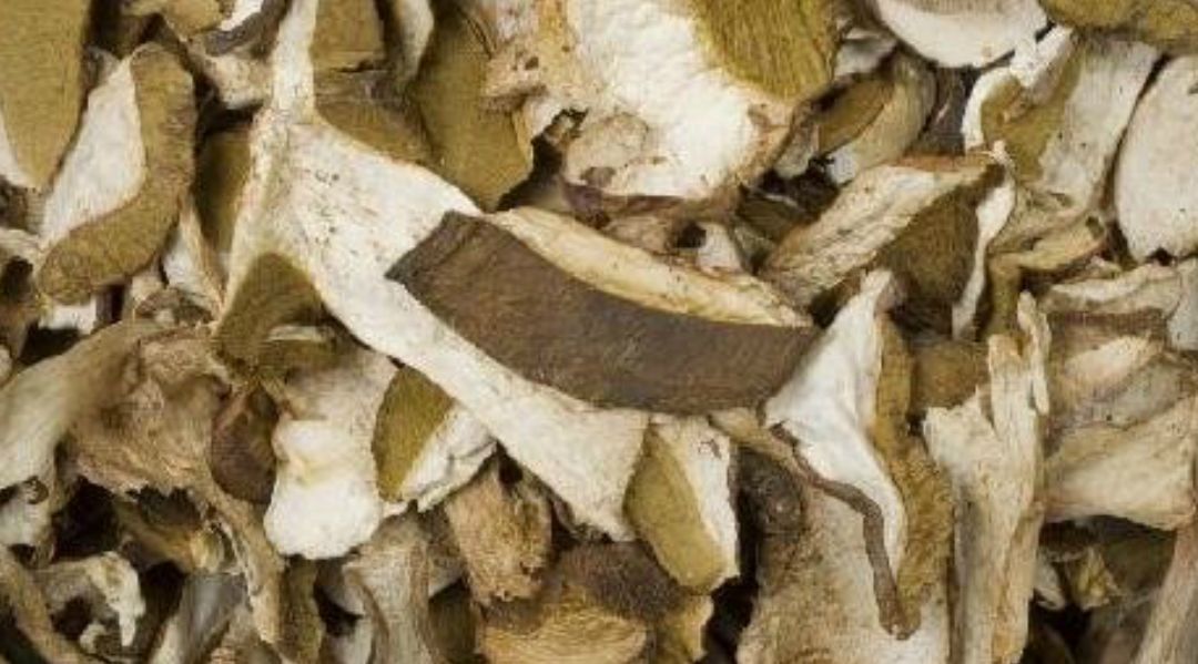 1. Boletus edulis 1. Boletus edulis