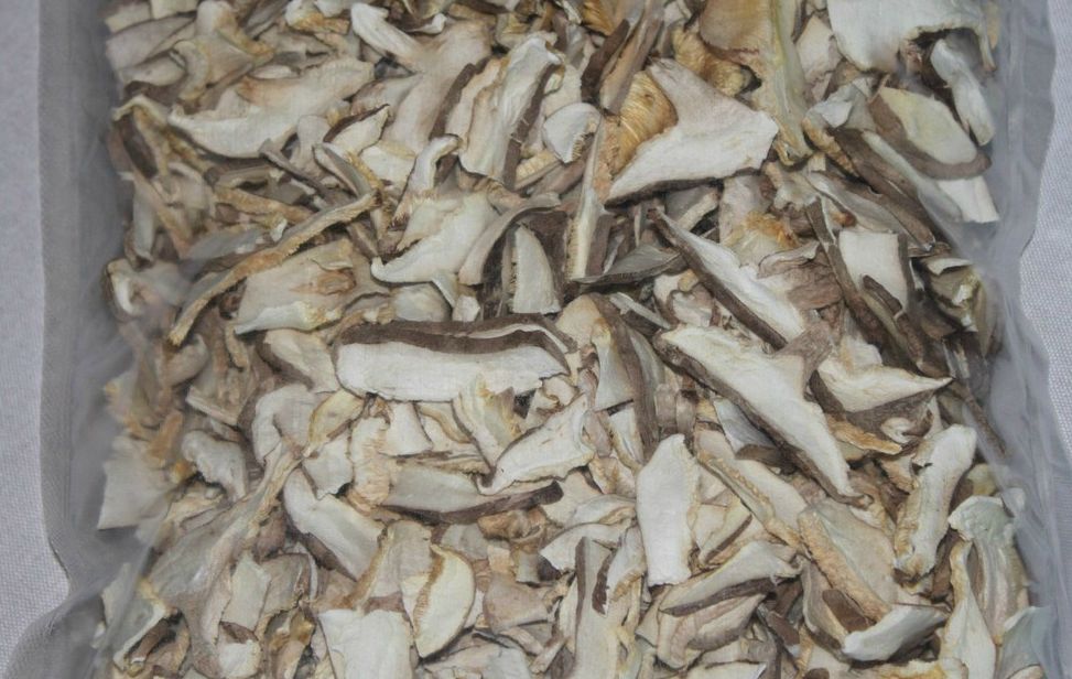 2.Shiitake láminas 2.Shiitake láminas
