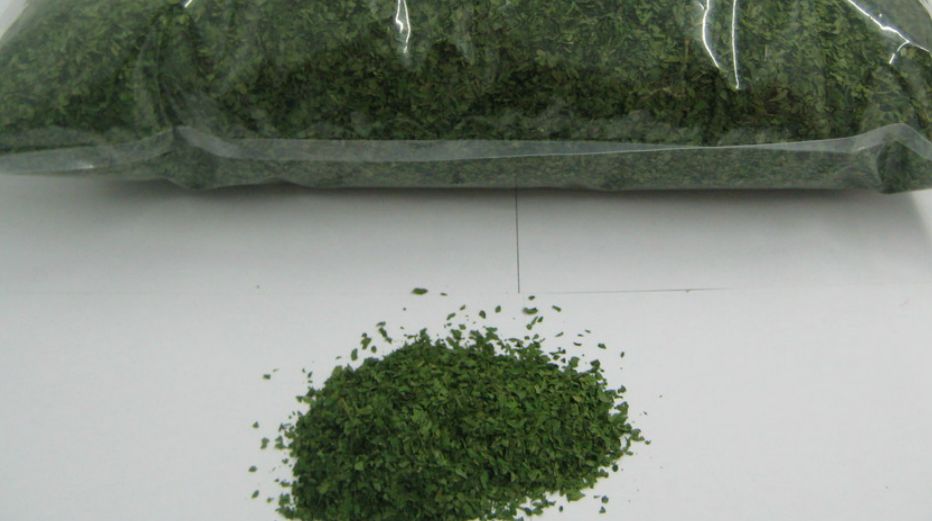 Perejil hoja Perejil hoja