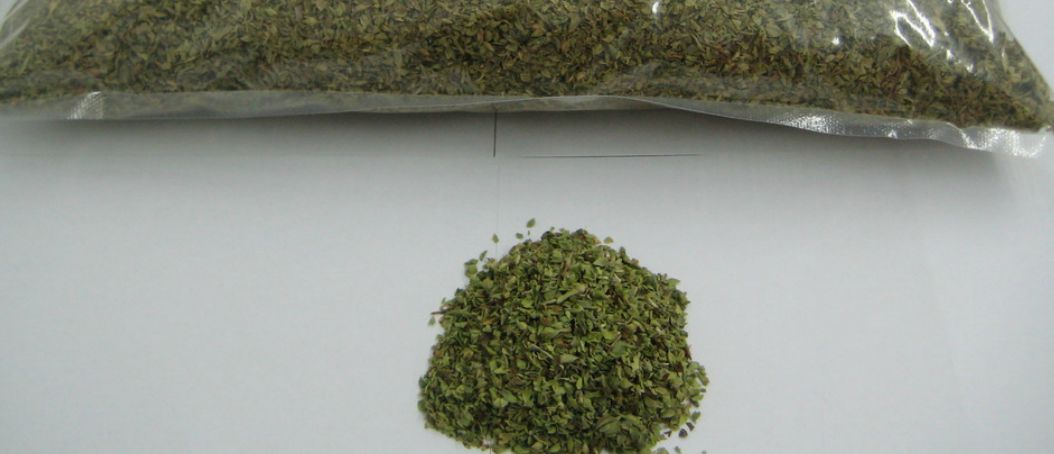 Oregano Oregano