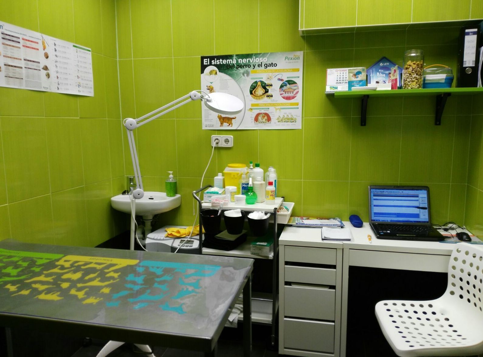 Foto 3 de Veterinarios en Egüés | Clínica Veterinaria Sarriguren