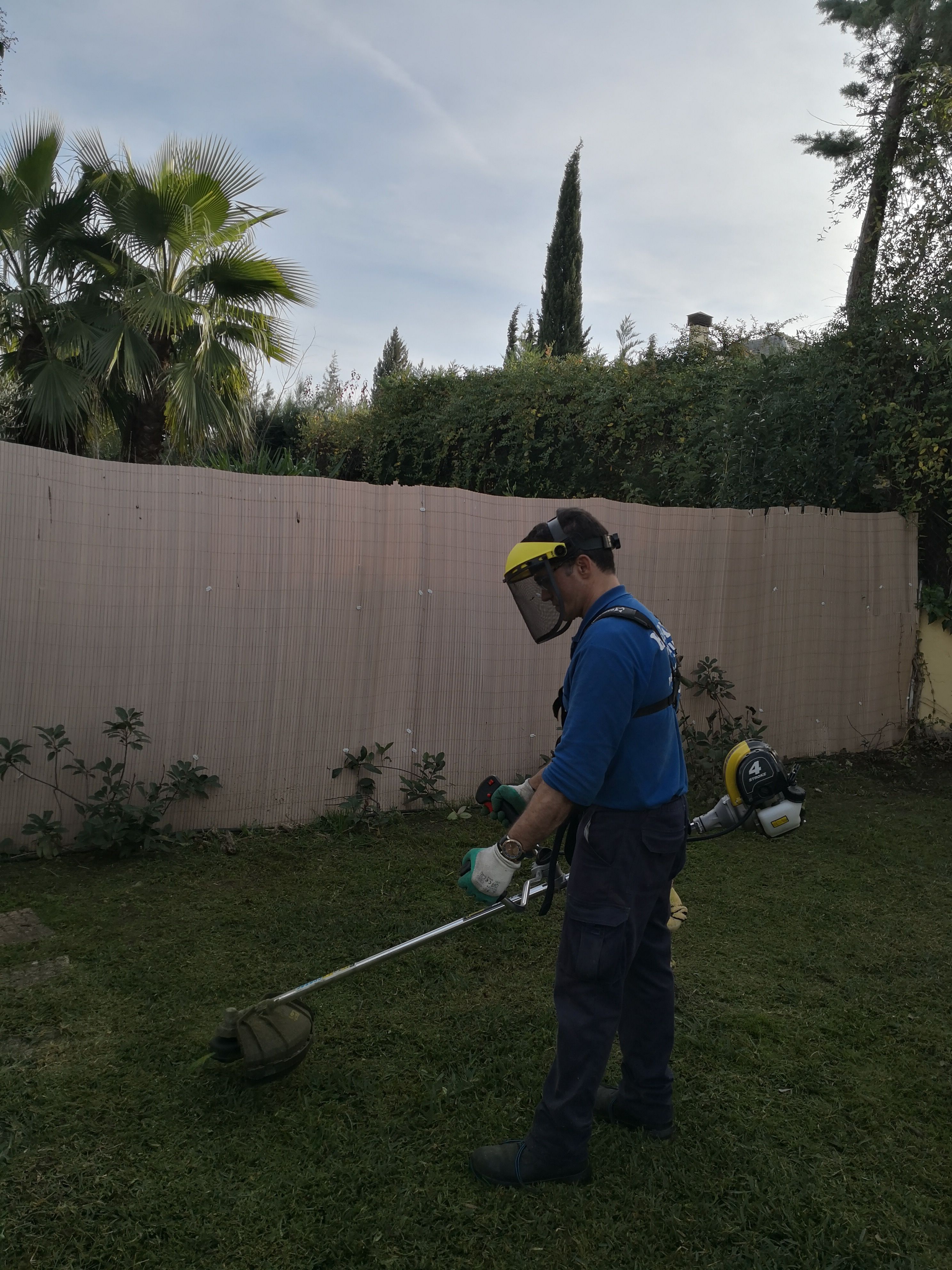 Jardinería: Servicios de Limpiezas Hadassa Jardinería: Servicios de Limpiezas Hadassa