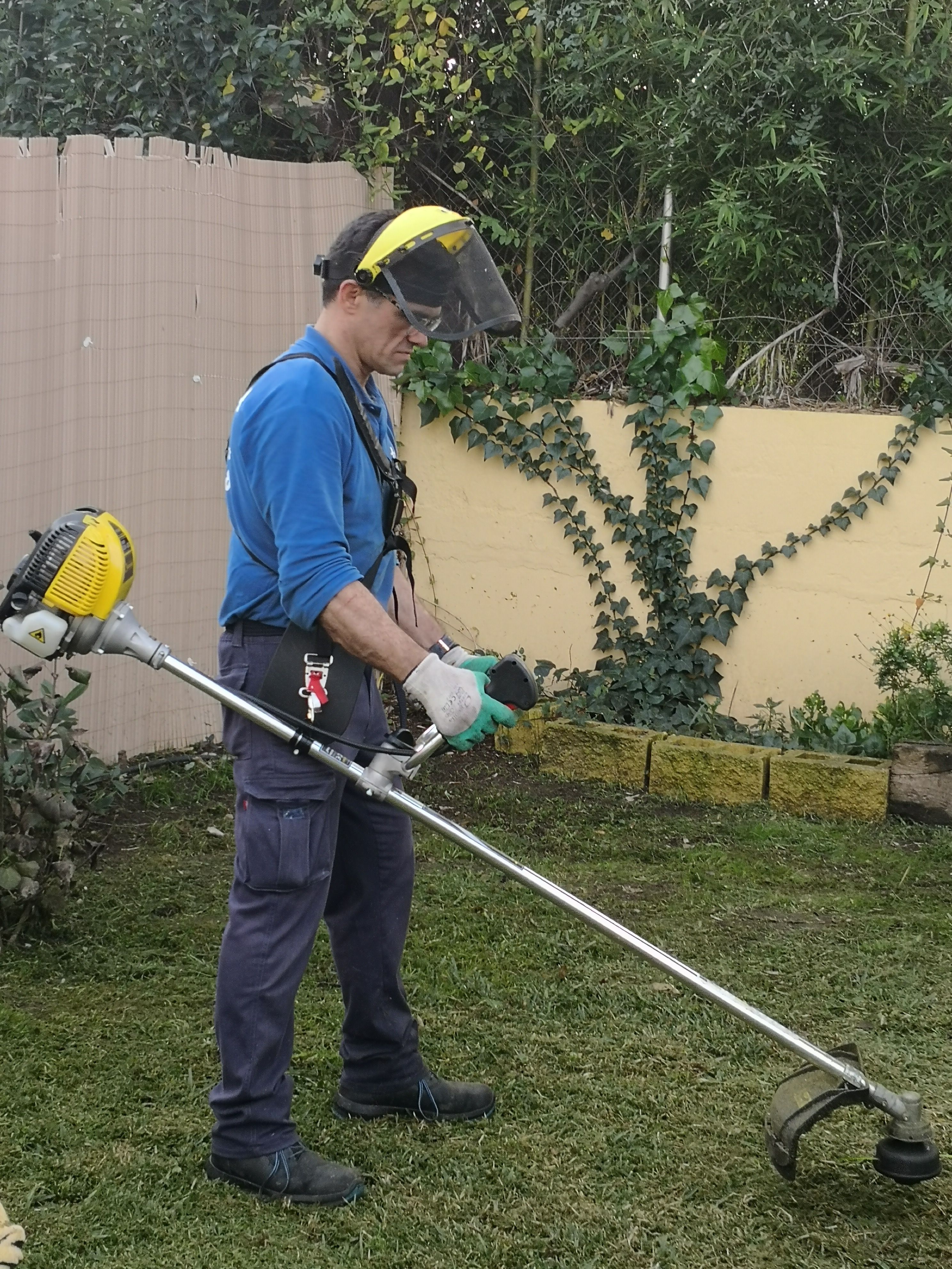 Jardinería: Servicios de Limpiezas Hadassa Jardinería: Servicios de Limpiezas Hadassa