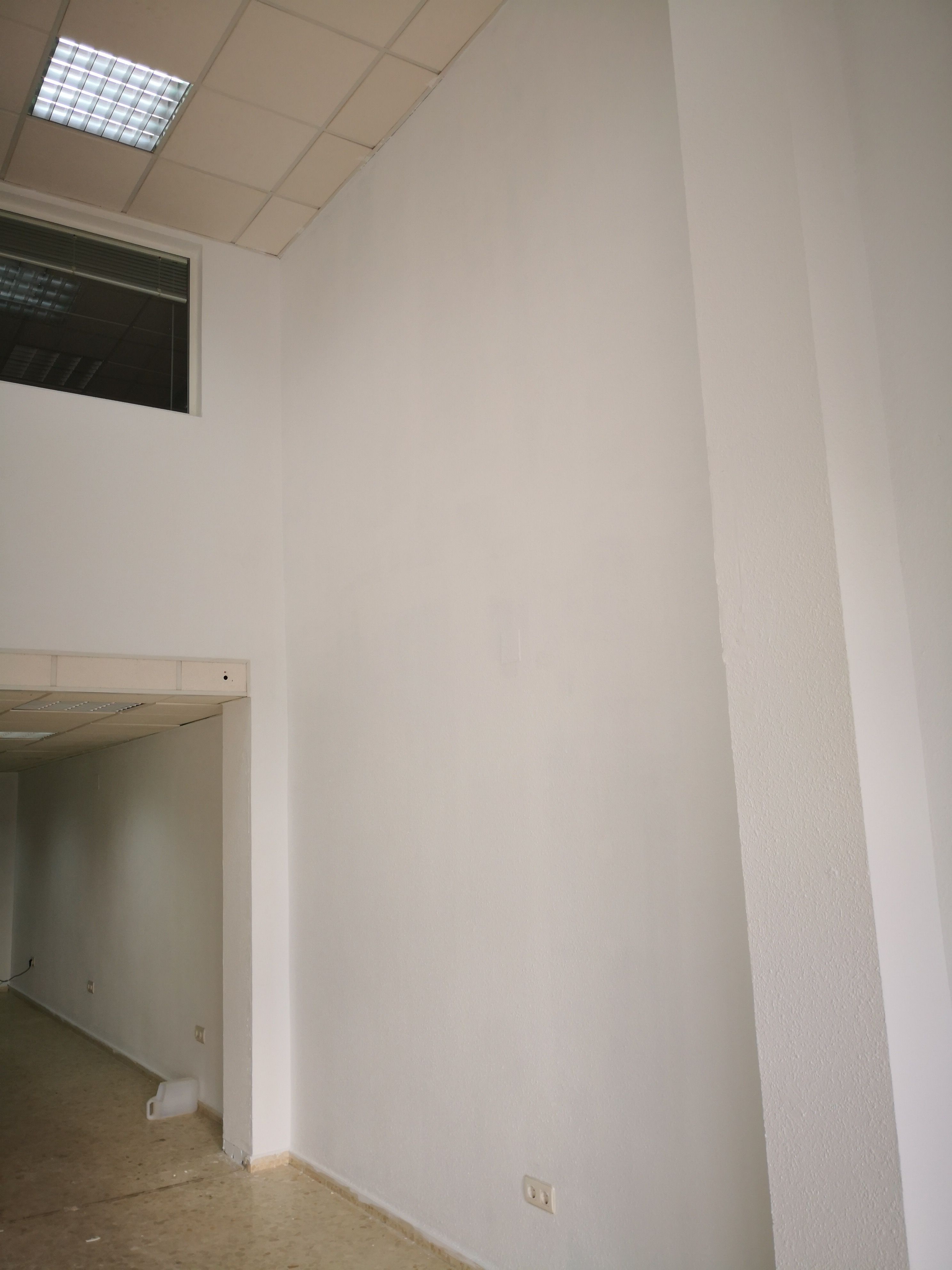 Limpieza y pintura de locales: Servicios de Limpiezas Hadassa Limpieza y pintura de locales: Servicios de Limpiezas Hadassa